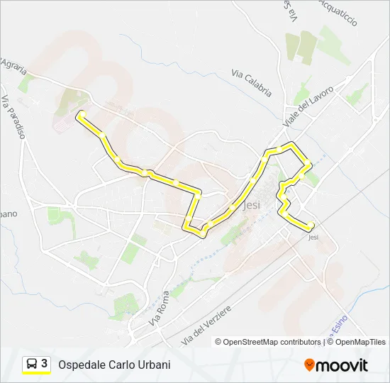 3 Bus Line Map