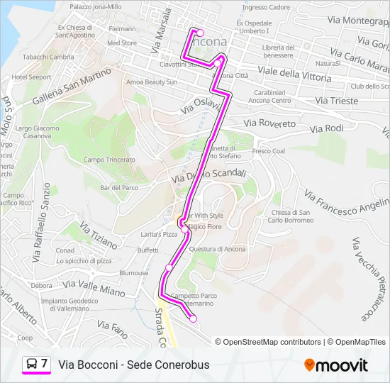 7 Bus Line Map