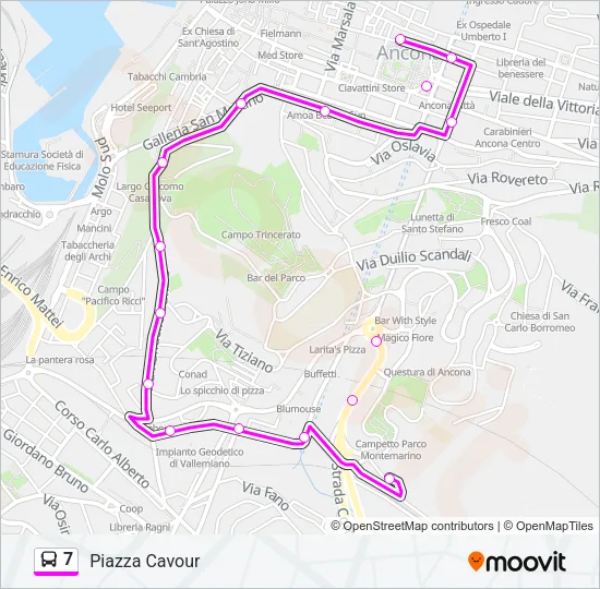 7 Bus Line Map