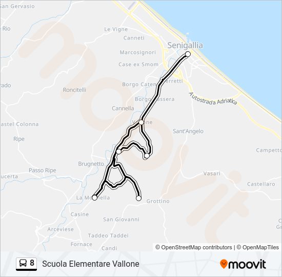 Percorso linea bus 8