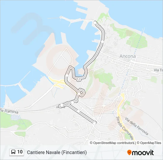 10 Bus Line Map
