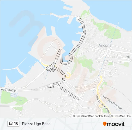 10 Bus Line Map