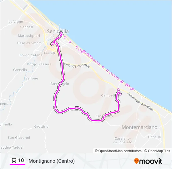 10 Bus Line Map
