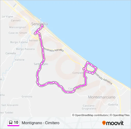 10 Bus Line Map