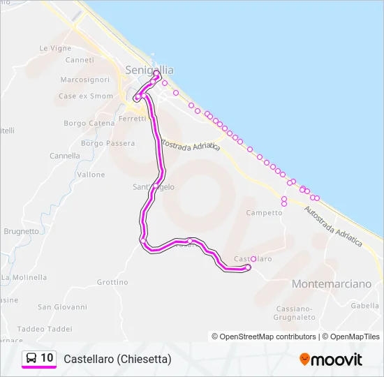 10 Bus Line Map