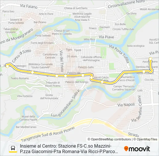 INSIEME AL CENTRO Bus Line Map