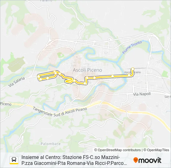 INSIEME AL CENTRO Bus Line Map