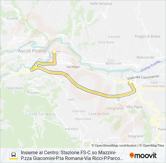INSIEME AL CENTRO Bus Line Map