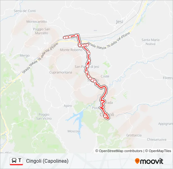 T Bus Line Map