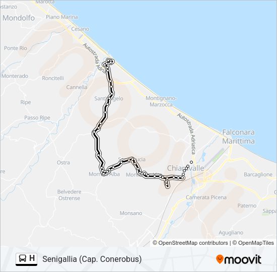 Percorso linea bus H