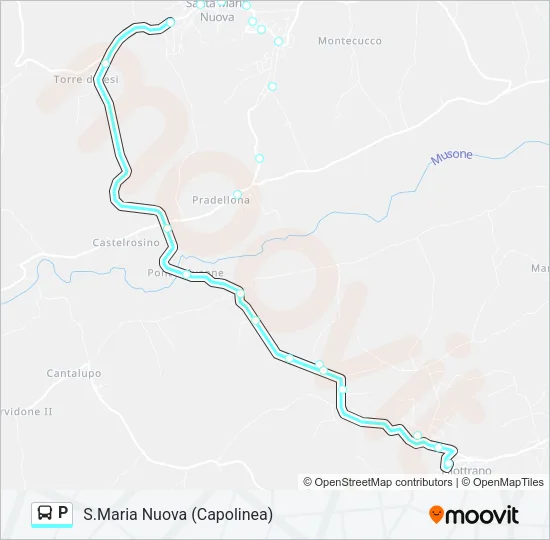 P Bus Line Map