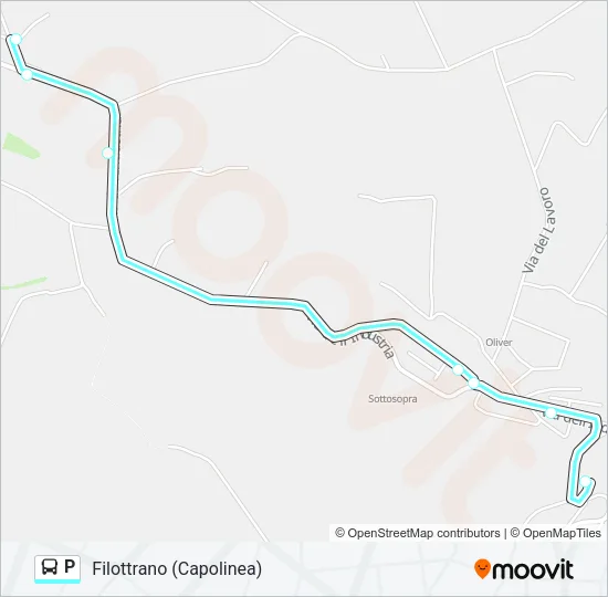 P Bus Line Map