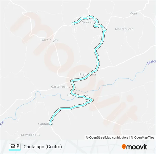 P Bus Line Map