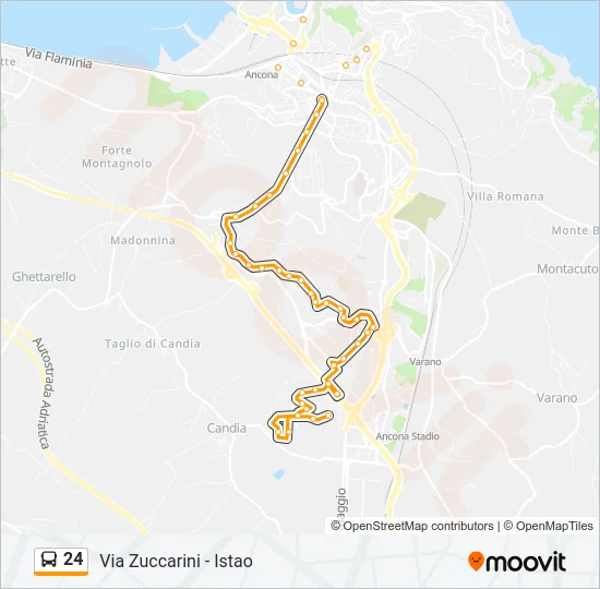 24 Bus Line Map