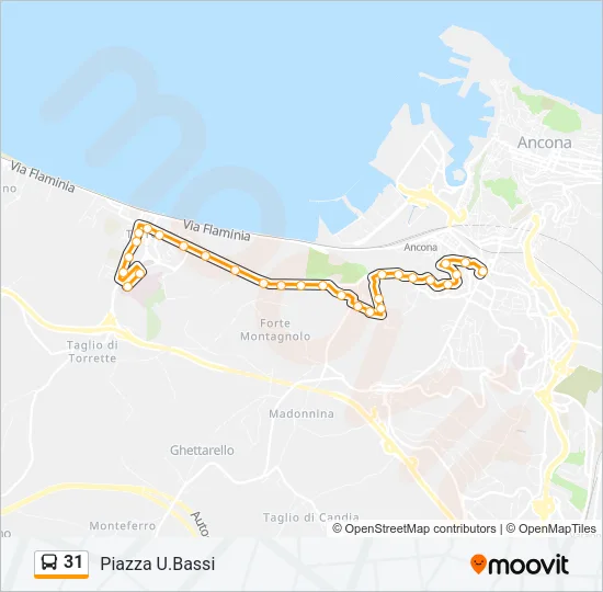 31  Line Map