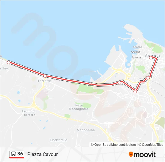 Percorso linea bus 36