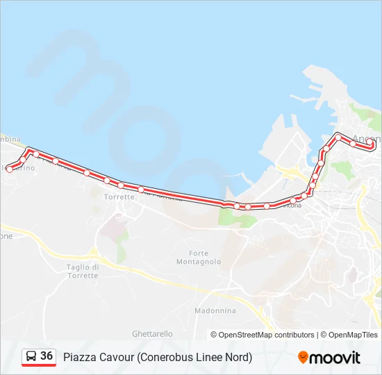 36 Bus Line Map