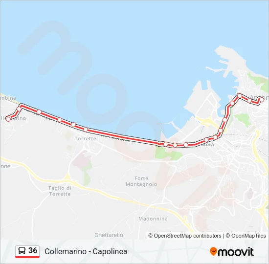 36 Bus Line Map