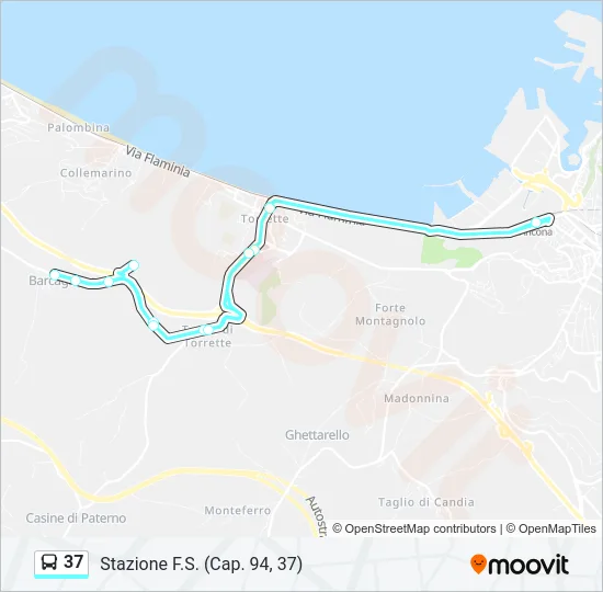 37 Bus Line Map