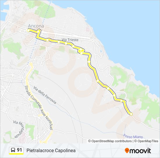 Percorso linea bus 91