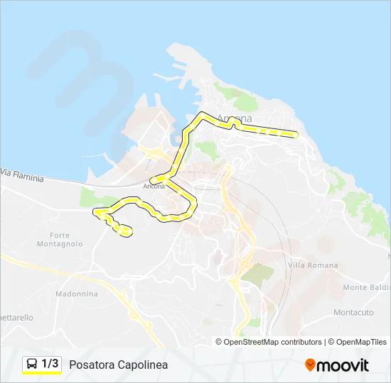 1/3 Bus Line Map