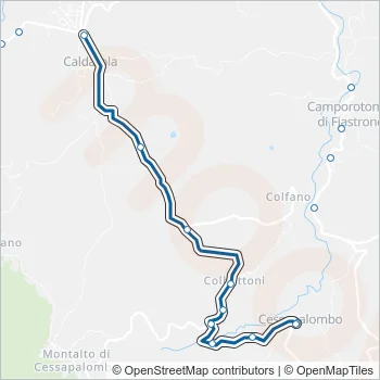 CONTRAM Bus Line Map