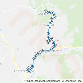 CONTRAM Bus Line Map