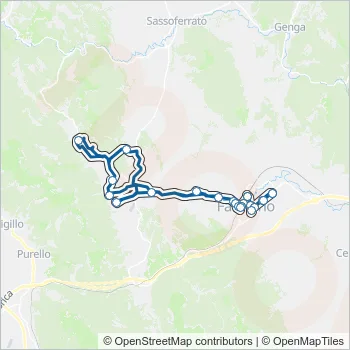 CONTRAM Bus Line Map