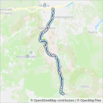 CONTRAM Bus Line Map
