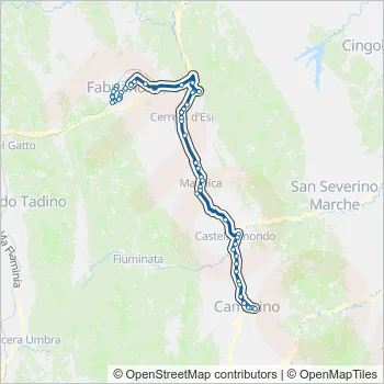 CONTRAM Bus Line Map