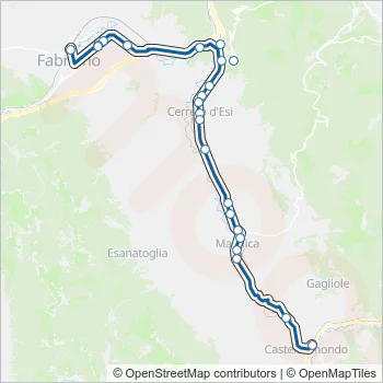 CONTRAM Bus Line Map