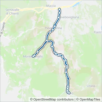 CONTRAM Bus Line Map