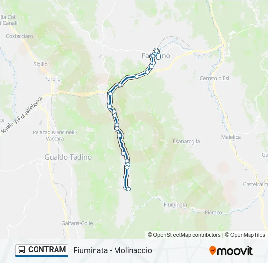 CONTRAM Bus Line Map