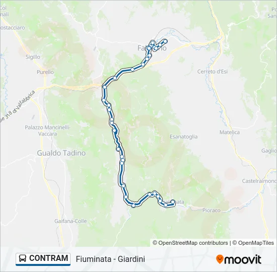 CONTRAM Bus Line Map