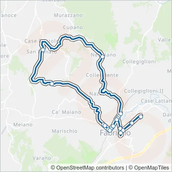 CONTRAM Bus Line Map