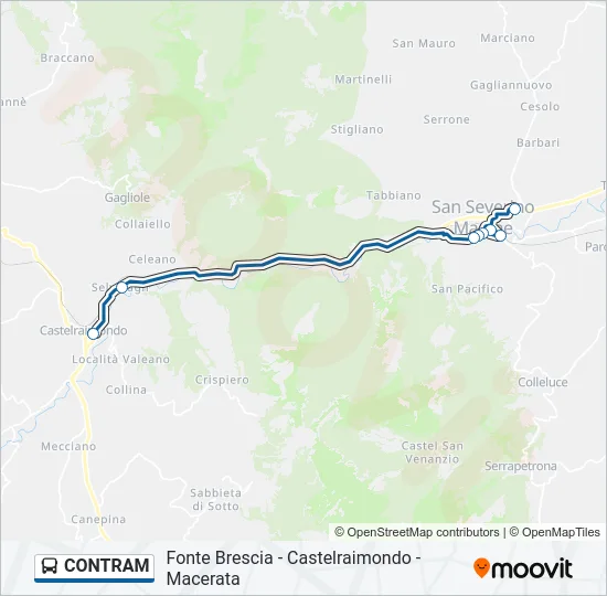 CONTRAM Bus Line Map