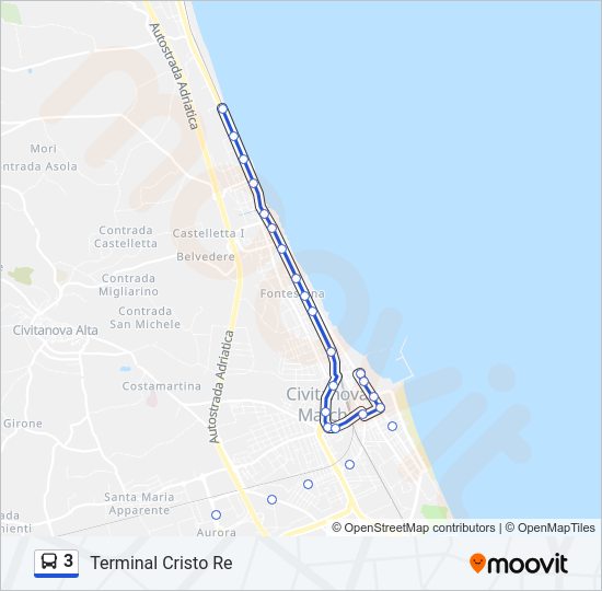 3 Bus Line Map