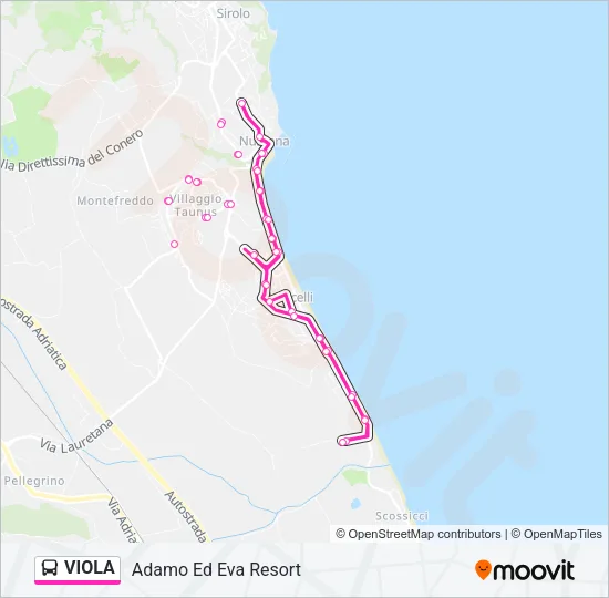 VIOLA Bus Line Map
