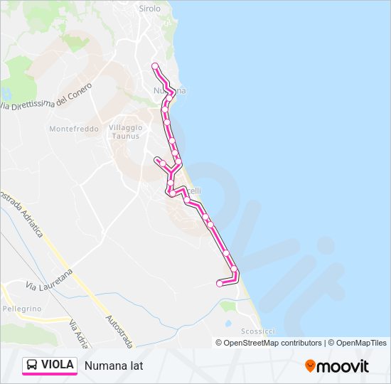 VIOLA Bus Line Map