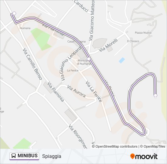 MINIBUS Bus Line Map