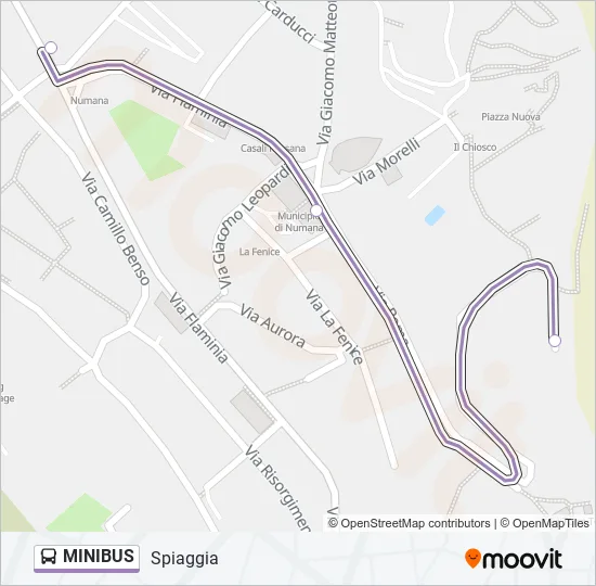 MINIBUS Bus Line Map