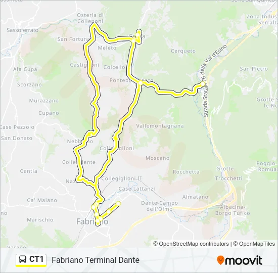 CT1 Bus Line Map