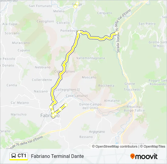 CT1 Bus Line Map