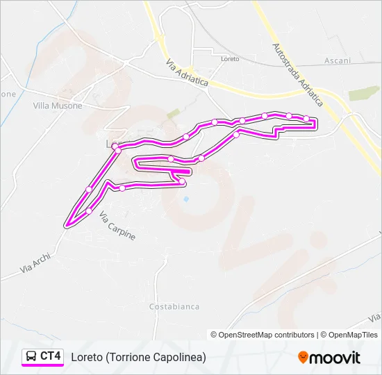 CT4 Bus Line Map