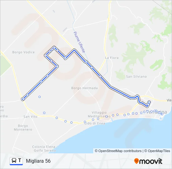 T Bus Line Map