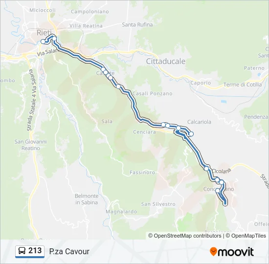 213 Bus Line Map