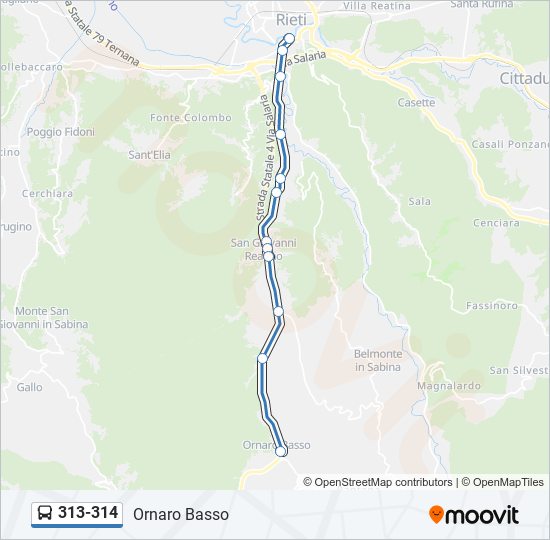 313-314 bus Line Map