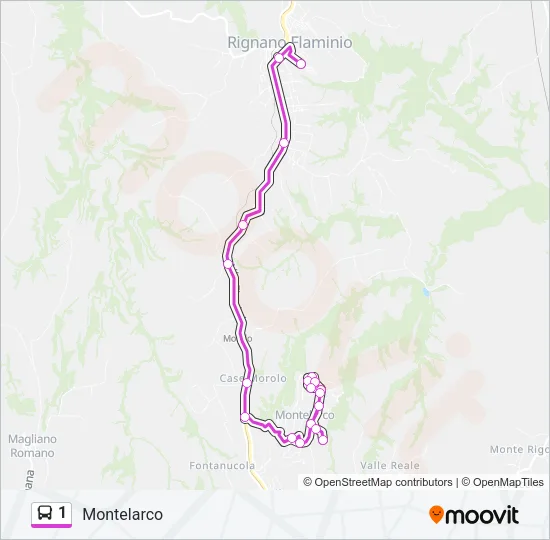 1 Bus Line Map