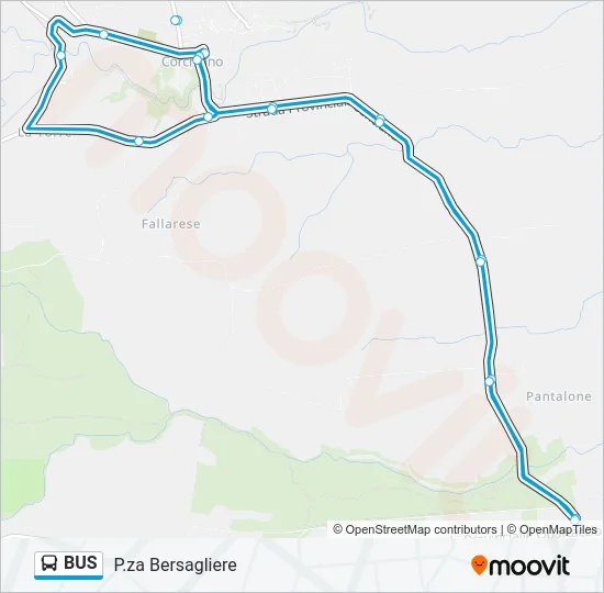 BUS Line Map