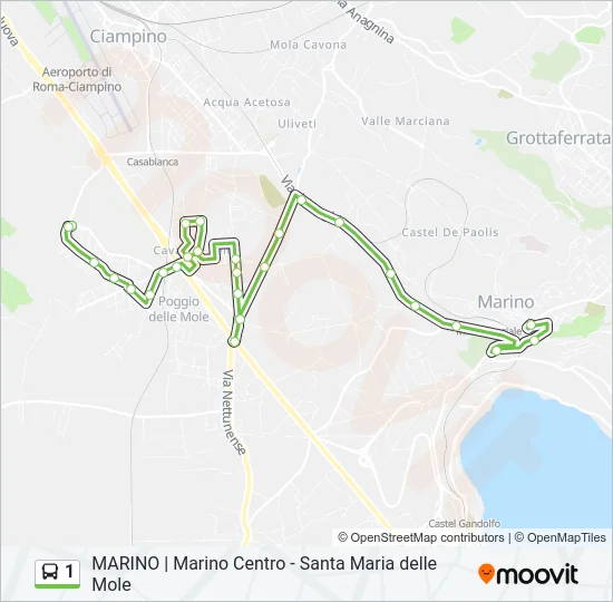 1 Bus Line Map